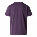 Мужская футболка The North Face Evolution Box Half Dome 0A8G9CG5O1 - фиолетовая