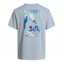 Мужская футболка The North Face Mountain Celebration 0A8G9ZFM21 - синяя