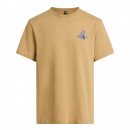 Мужская футболка The North Face Mountain Celebration 0A8G9ZLK51 - бежевый