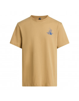 Мужская футболка The North Face Mountain Celebration 0A8G9ZLK51 - бежевый