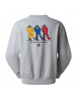 Унисекс худи The North Face Celebration 0A8GATDYX1 - серое