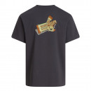 Мужская футболка The North Face Snack 0A8GB4RHI1 - серая