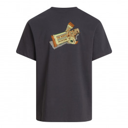 Мужская футболка The North Face Snack 0A8GB4RHI1 - серая