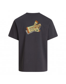 Мужская футболка The North Face Snack 0A8GB4RHI1 - серая