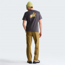 Мужская футболка The North Face Snack 0A8GB4RHI1 - серая