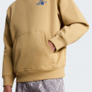 Мужская толстовка The North Face Mountain Celebration 0A8GB9LK51 - бежевый