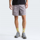 Мужские шорты The North Face Class V Pathfinder 7