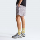 Мужские шорты The North Face Class V Pathfinder 7