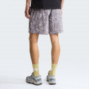 Мужские шорты The North Face Class V Pathfinder 7
