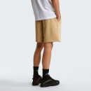 Мужские шорты The North Face NSE Box Light 0A8GQ8LK51 - бежевые