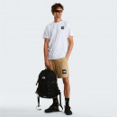 Мужские шорты The North Face NSE Box Light 0A8GQ8LK51 - бежевые