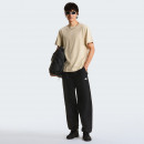 Мужская футболка The North Face Essential Center Logo 0A8GQEDOM1 - бежевый