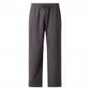 Мужские брюки The North Face Essential Light 0A8GQHRHI1 - серые