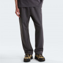Мужские брюки The North Face Essential Light 0A8GQHRHI1 - серые