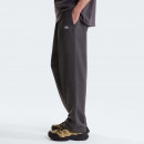 Мужские брюки The North Face Essential Light 0A8GQHRHI1 - серые