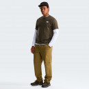 Мужская футболка The North Face Regular Short Graphic 0A8GUW21L1 - коричневая