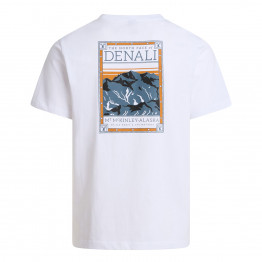 Мужская футболка The North Face Regular Short Graphic 0A8GUWFN41 - белая