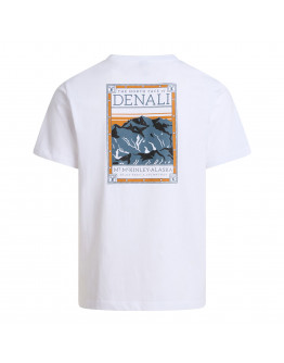 Мужская футболка The North Face Regular Short Graphic 0A8GUWFN41 - белая