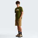 Мужская футболка The North Face Mountain Line 0A8GUXBRI1 - зеленая