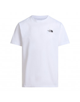 Мужская футболка The North Face Mountain Sketch 0A8GUZFN41 - белая