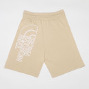 Мужские шорты The North Face Graphic 0A8HM88D61 - бежевые