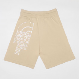 Мужские шорты The North Face Graphic 0A8HM88D61 - бежевые