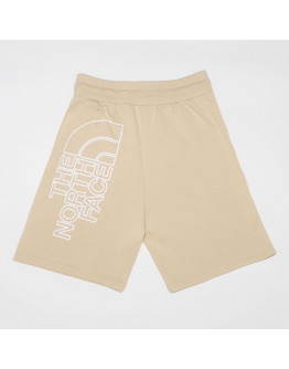 Мужские шорты The North Face Graphic 0A8HM88D61 - бежевые