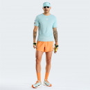 Мужская футболка The North Face Summit High 0A8HW48EB1 - синяя