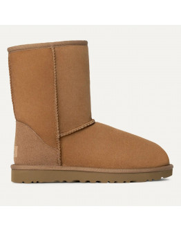 Женская обувь UGG W Classic Short II 1016223-CHE - коричневые