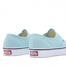 Обувь Vans Color Theory Authentic VN0A5KS9H7O1 - синие